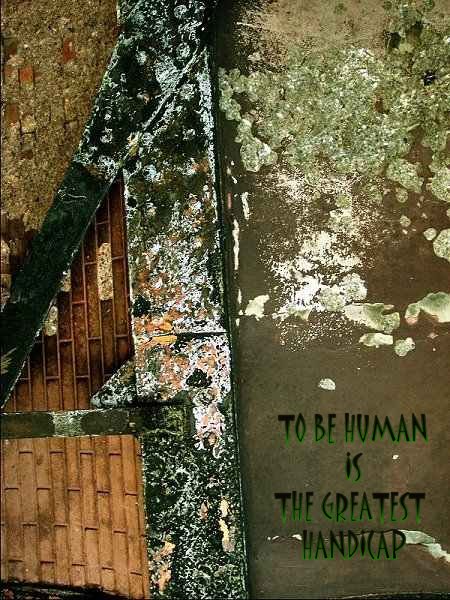 TO BE HUMAN IS THE GREATEST HANDICAP