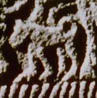Detail of 9th century Irish cross at Ahenny.