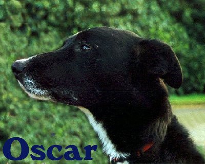 Oscar